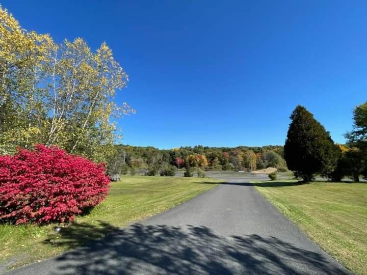 Elm Tree Motel Craryville エクステリア 写真