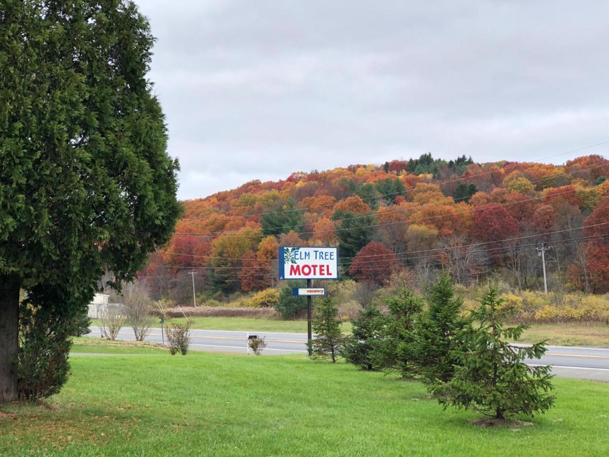 Elm Tree Motel Craryville エクステリア 写真