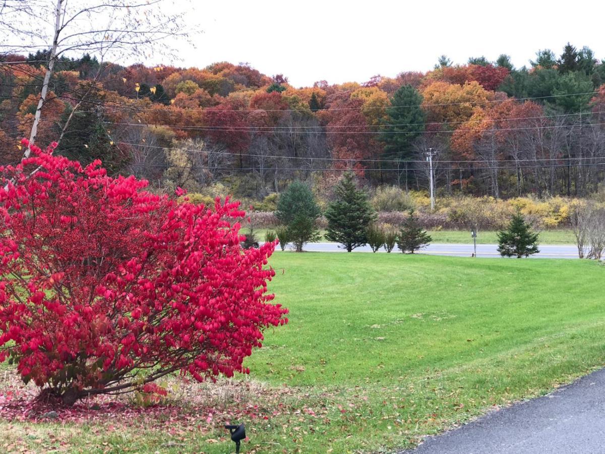Elm Tree Motel Craryville エクステリア 写真